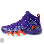 BARKLEY POSITE PHOENIX SUNS